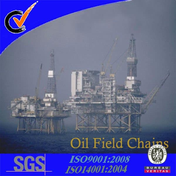 Petroleum Drilling Machine Chain